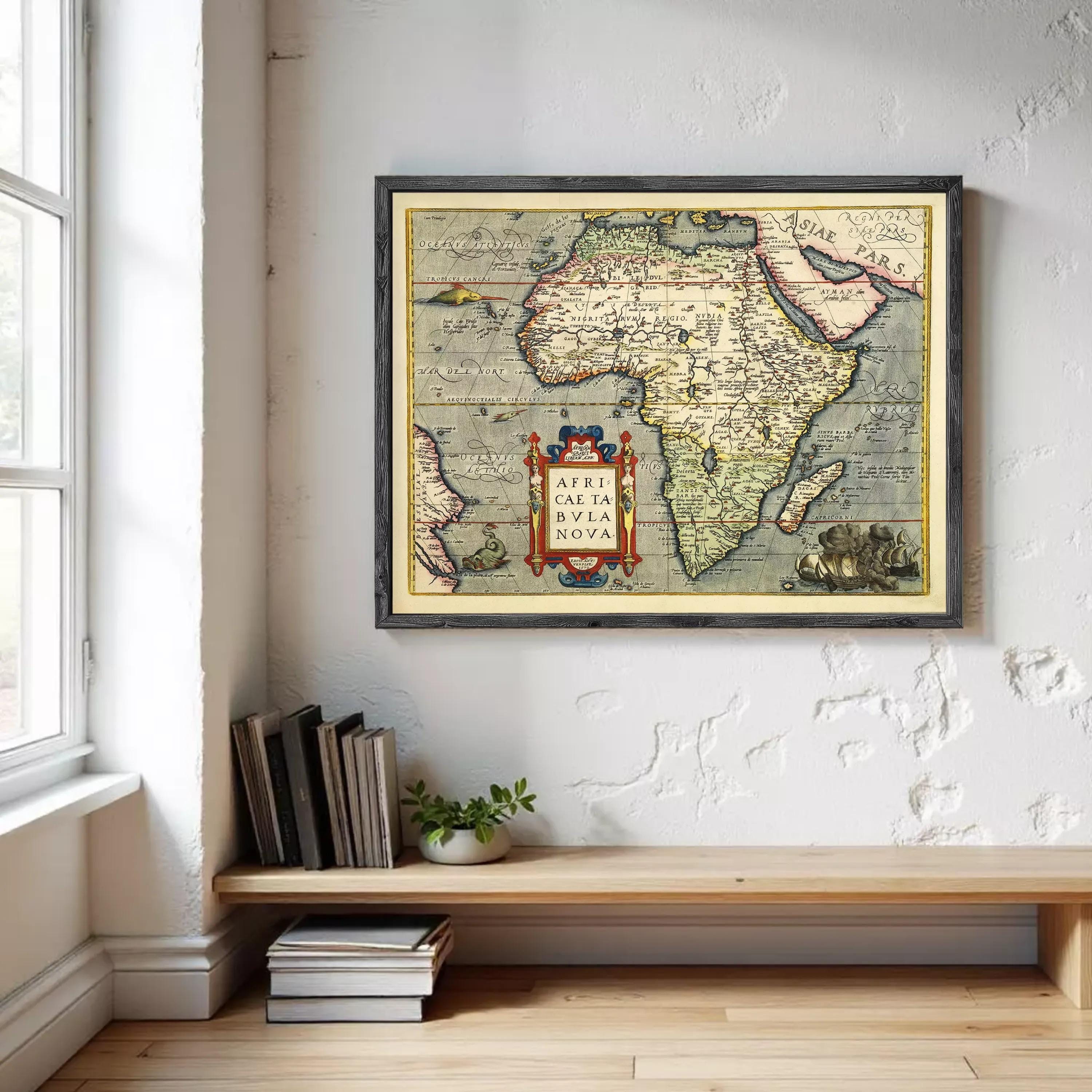 a framed map of Africa hanging on a wall, with a wooden shelf below it holding several books and a potted plant.