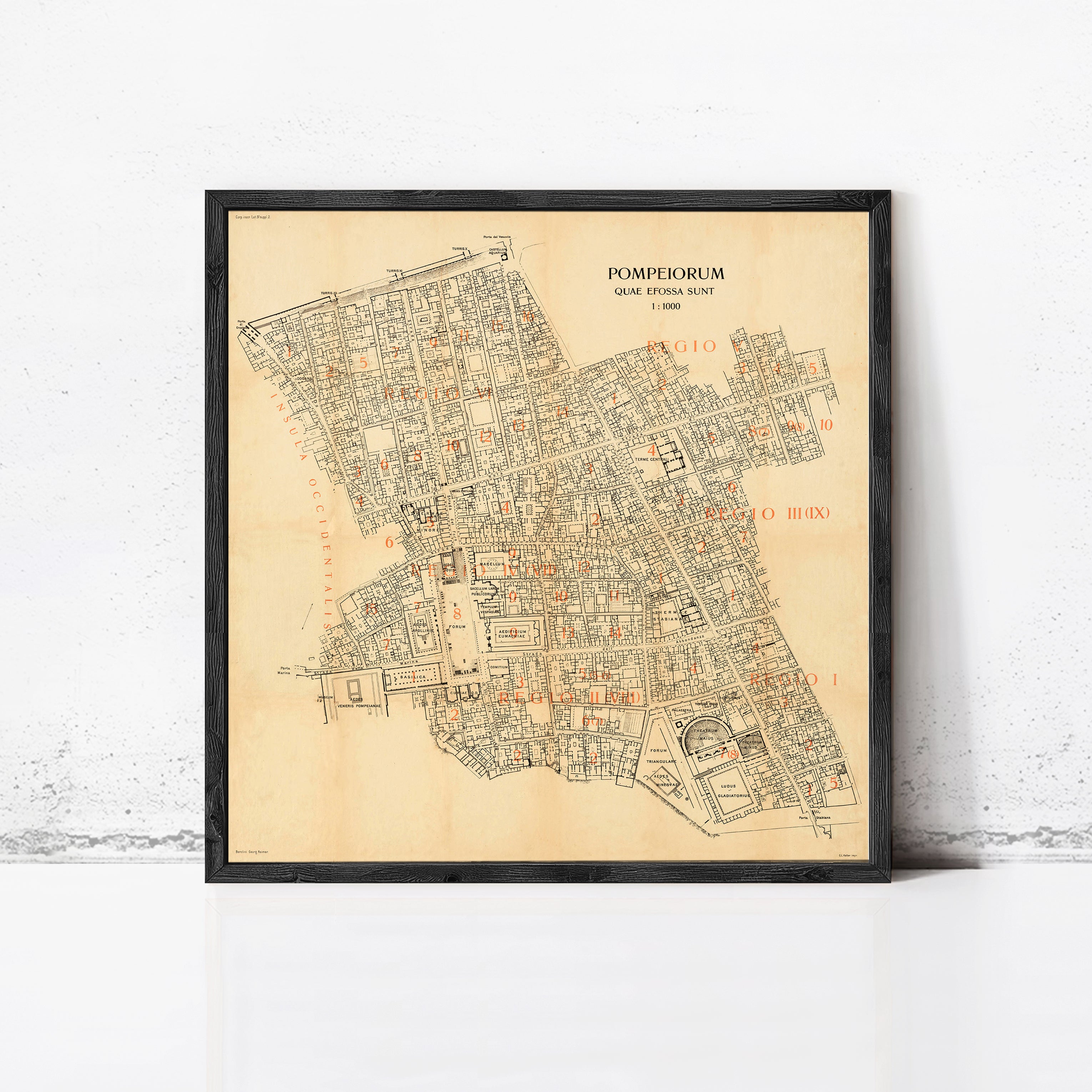 The image is a framed map of the city of Pompeii, Italy, depicting the layout and layout of the city in a detailed and historical manner.