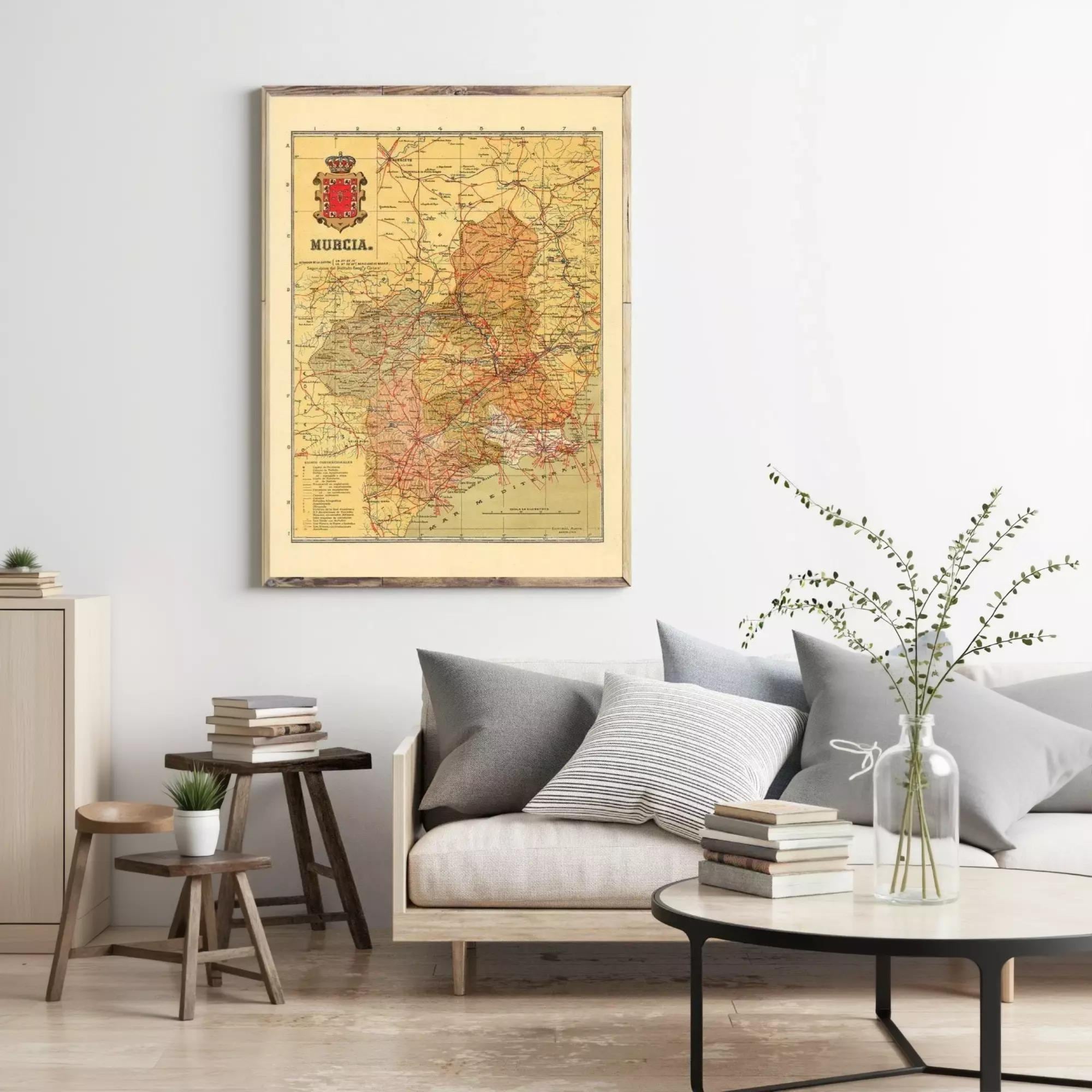 a living room with a framed map of Moldavia hanging on the wall above a couch with pillows. There are also some books and a vase with flowers on the couch, creating a cozy and inviting atmosphere.