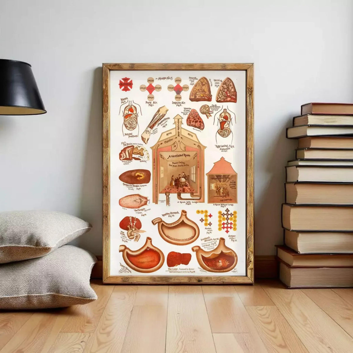 The image is a framed illustration depicting various anatomical structures and parts of the human body, including the heart, lungs, digestive system, and other internal organs.