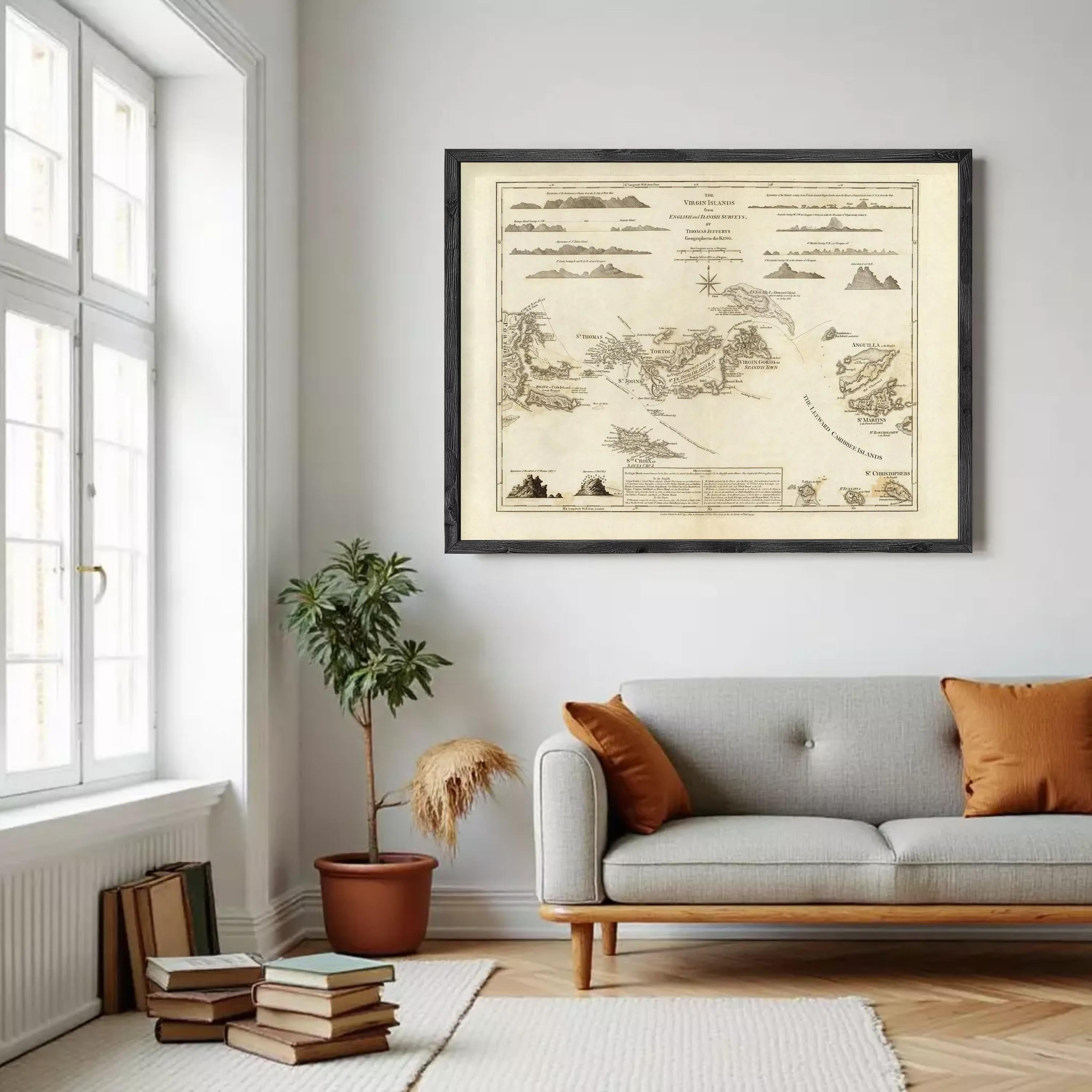 a living room with a gray sofa, a potted plant, and a framed map hanging on the wall.