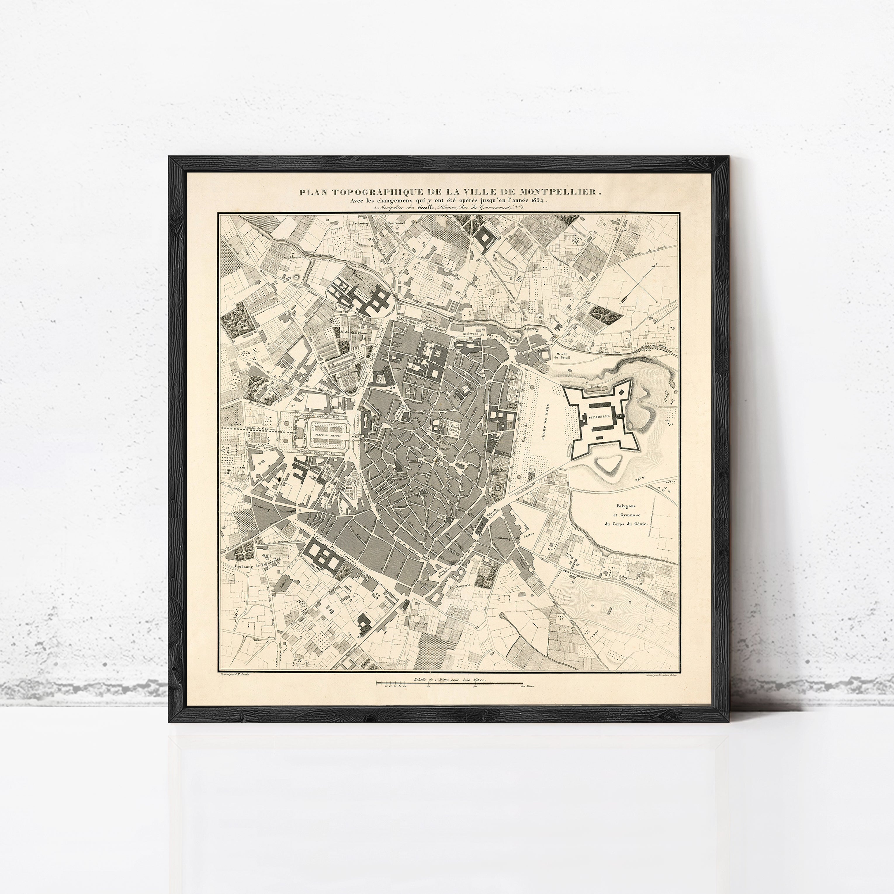 The image is a framed map of a city, depicting various landmarks and streets.