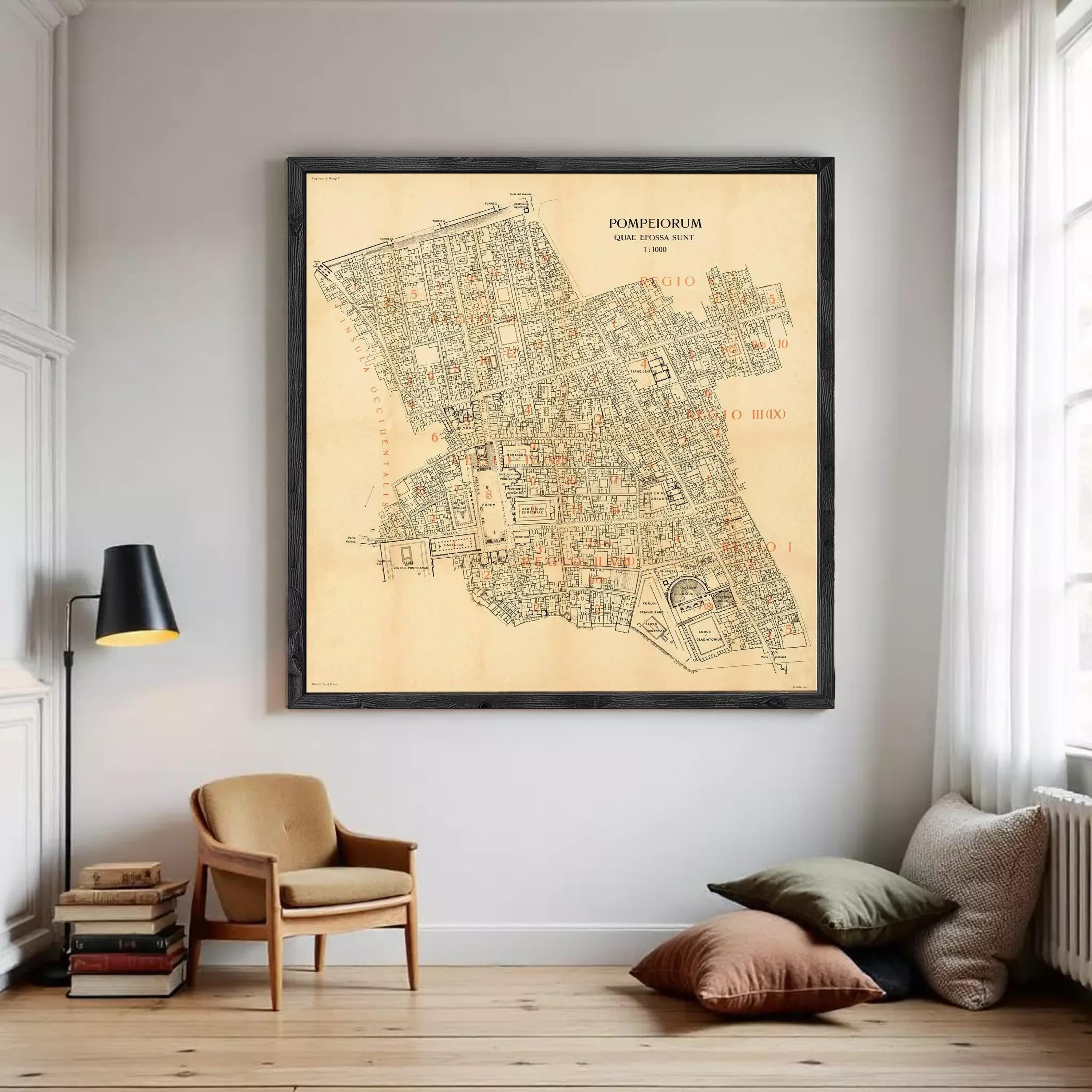 The image is a framed map of the city of Pompeii, Italy, depicting the layout and layout of the city in a detailed and historical manner.