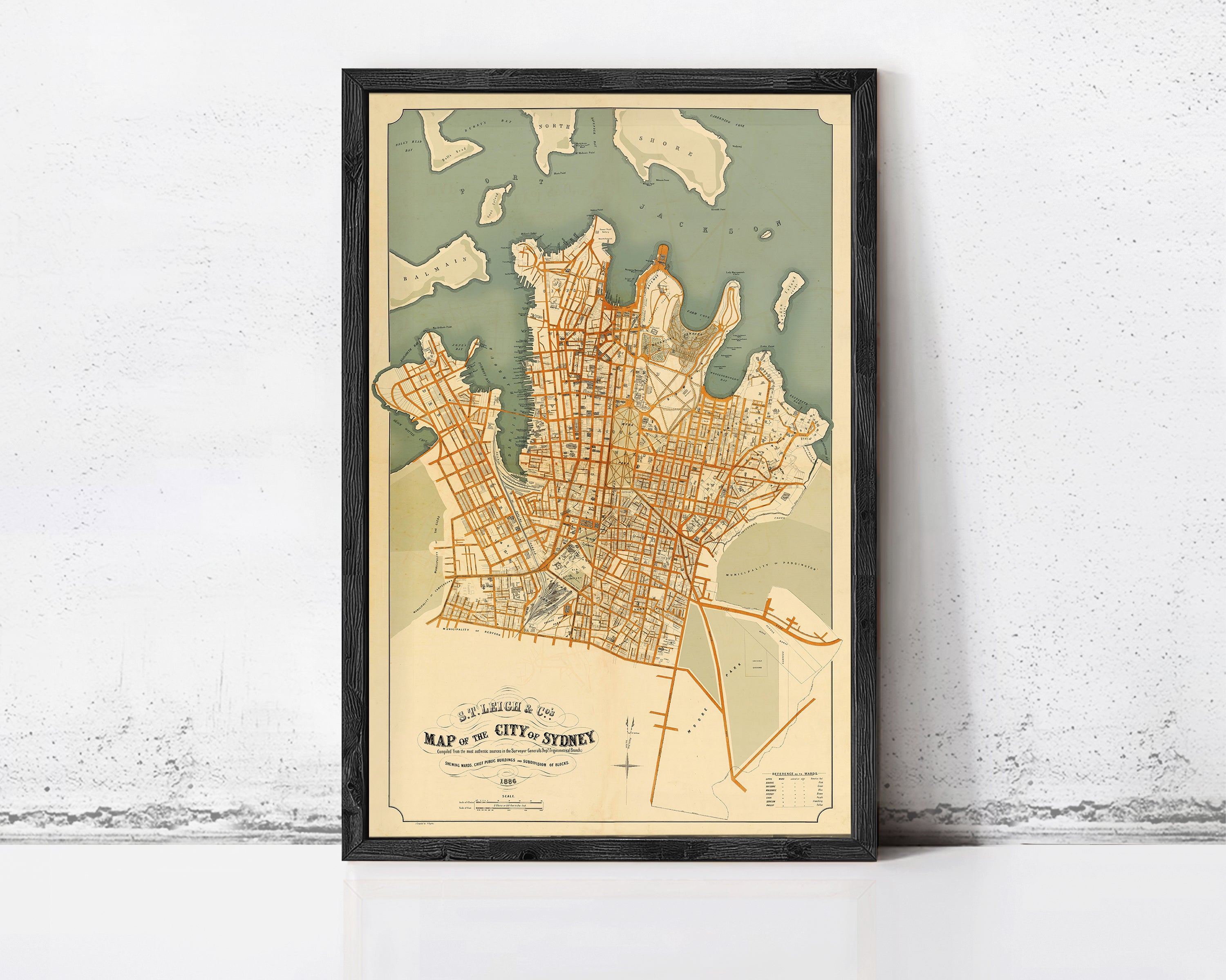 The image is a framed vintage map of Sydney, Australia, depicting the city's streets and surrounding areas.