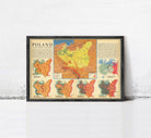 A framed map of Poland, depicting the country's military autony or military history, with various maps and labels showing different regions and zones within Poland.