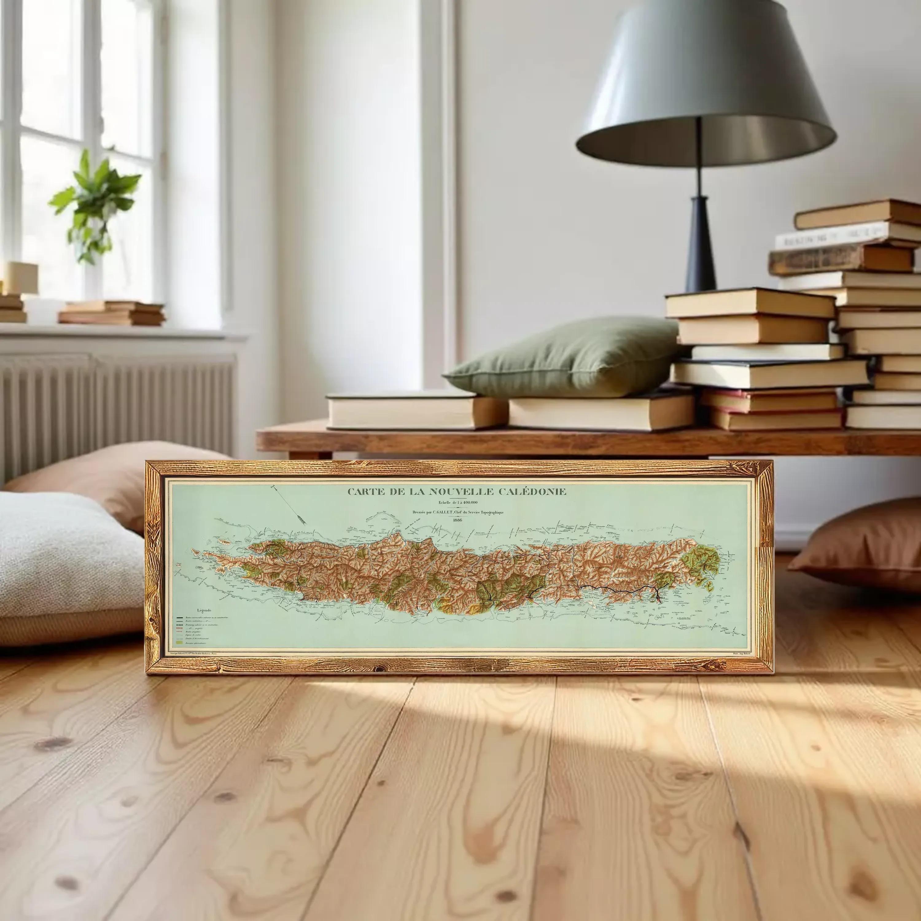 A framed map of the island of La Nouvelle, Caledonie, displayed against a white wall.