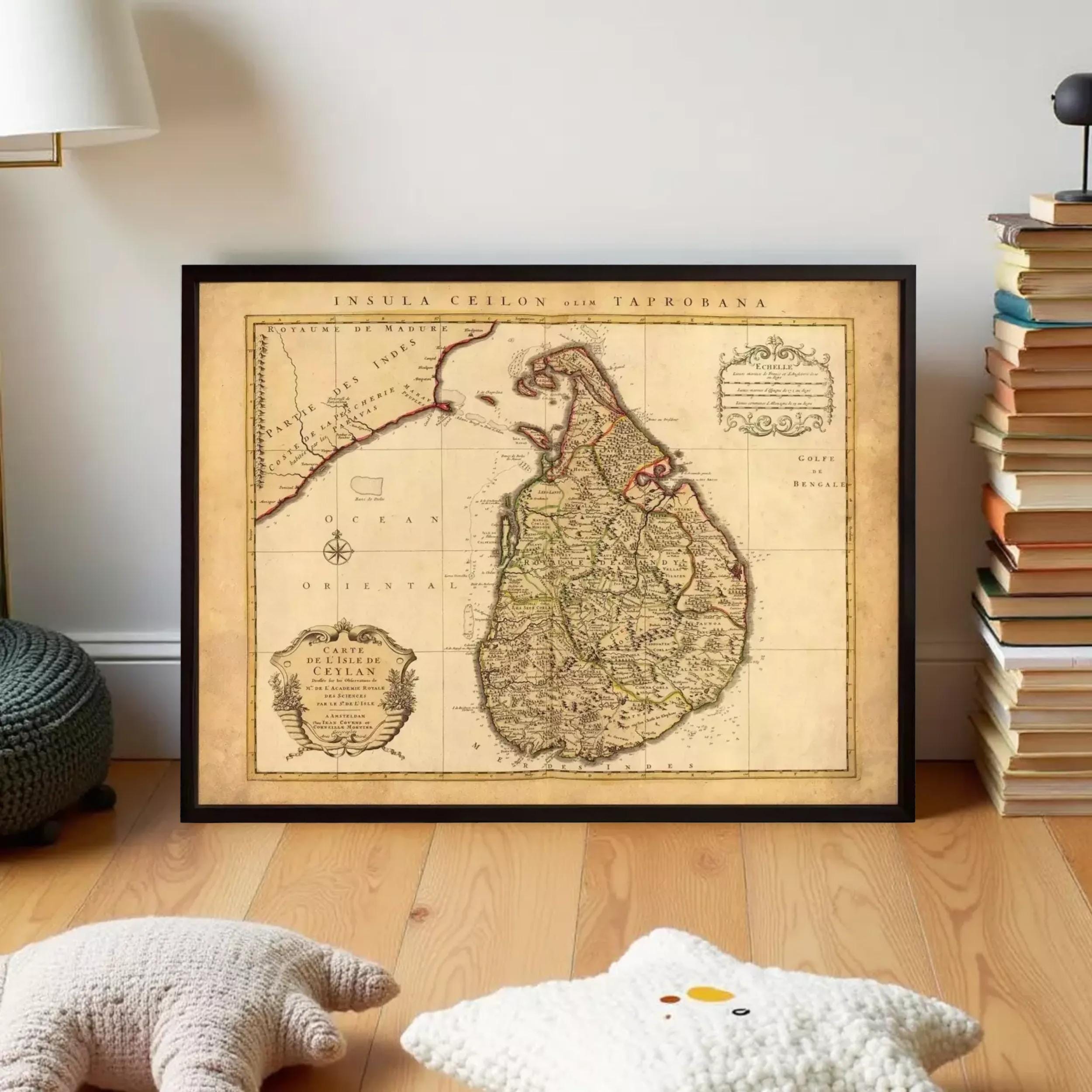 a framed map of Sri Lanka, with a stack of books and a stuffed animal on the floor in the foreground.
