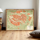 The image is a framed map of a city, likely from the 19th century, with a detailed and colorful layout of streets, buildings, and other urban features.