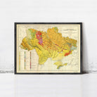 The image is a framed vintage map of Ukraine, depicting the country's geographical features and boundaries.