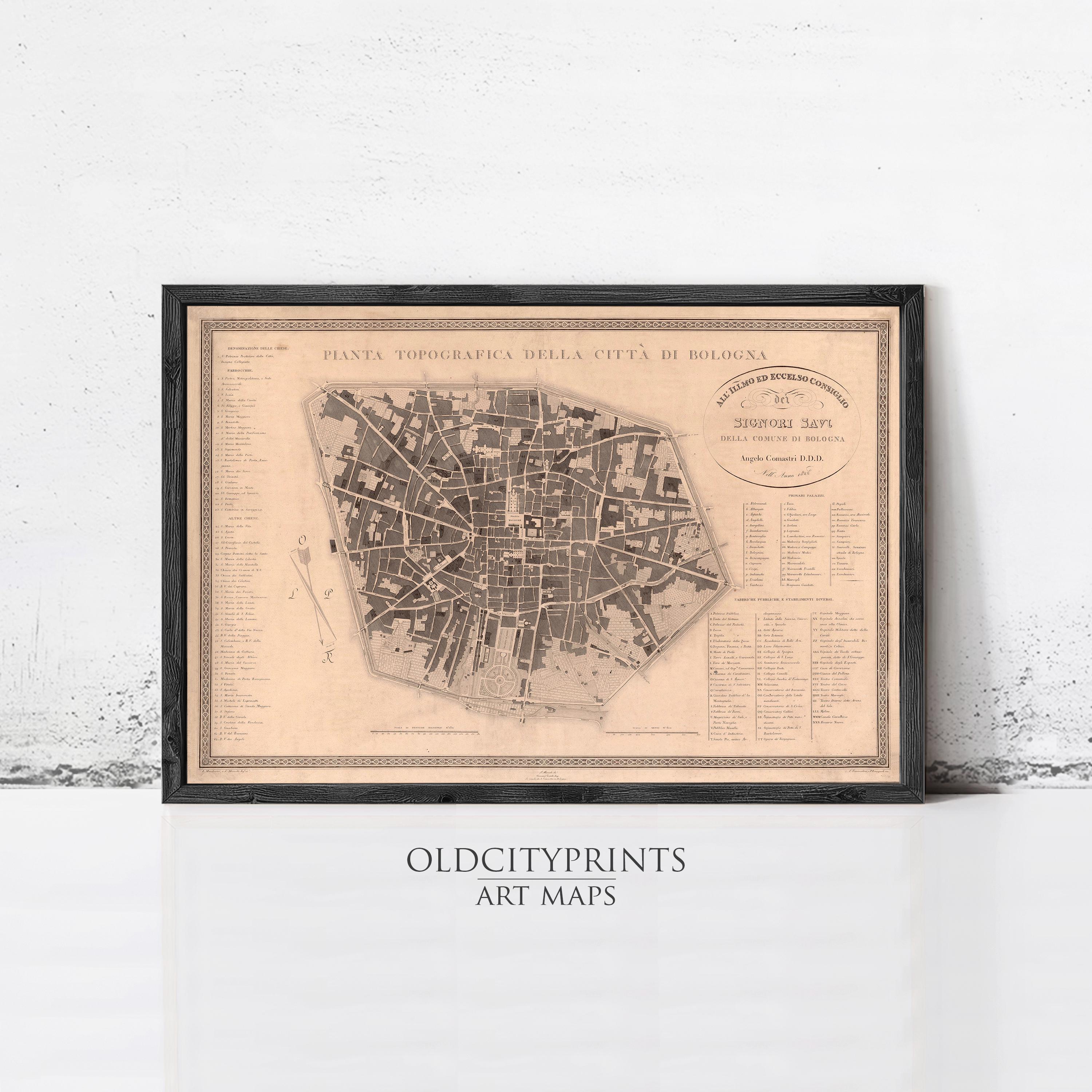 The image is a framed antique map of a city, likely from the 19th century, with detailed street maps and labels.