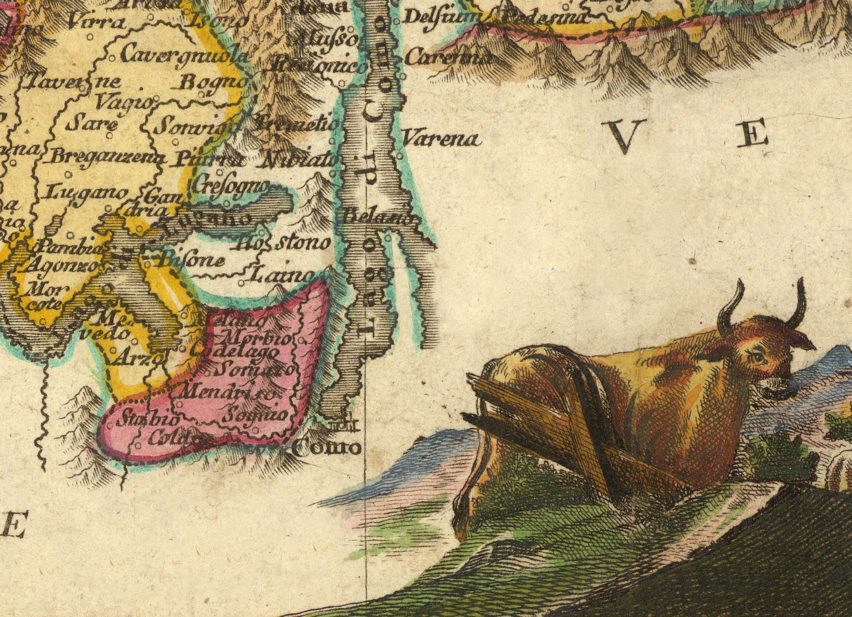 The image is a detailed map of South America, featuring a large brown cow in the foreground. The map is colorful and includes various geographical elements such as mountains, rivers, and countries.