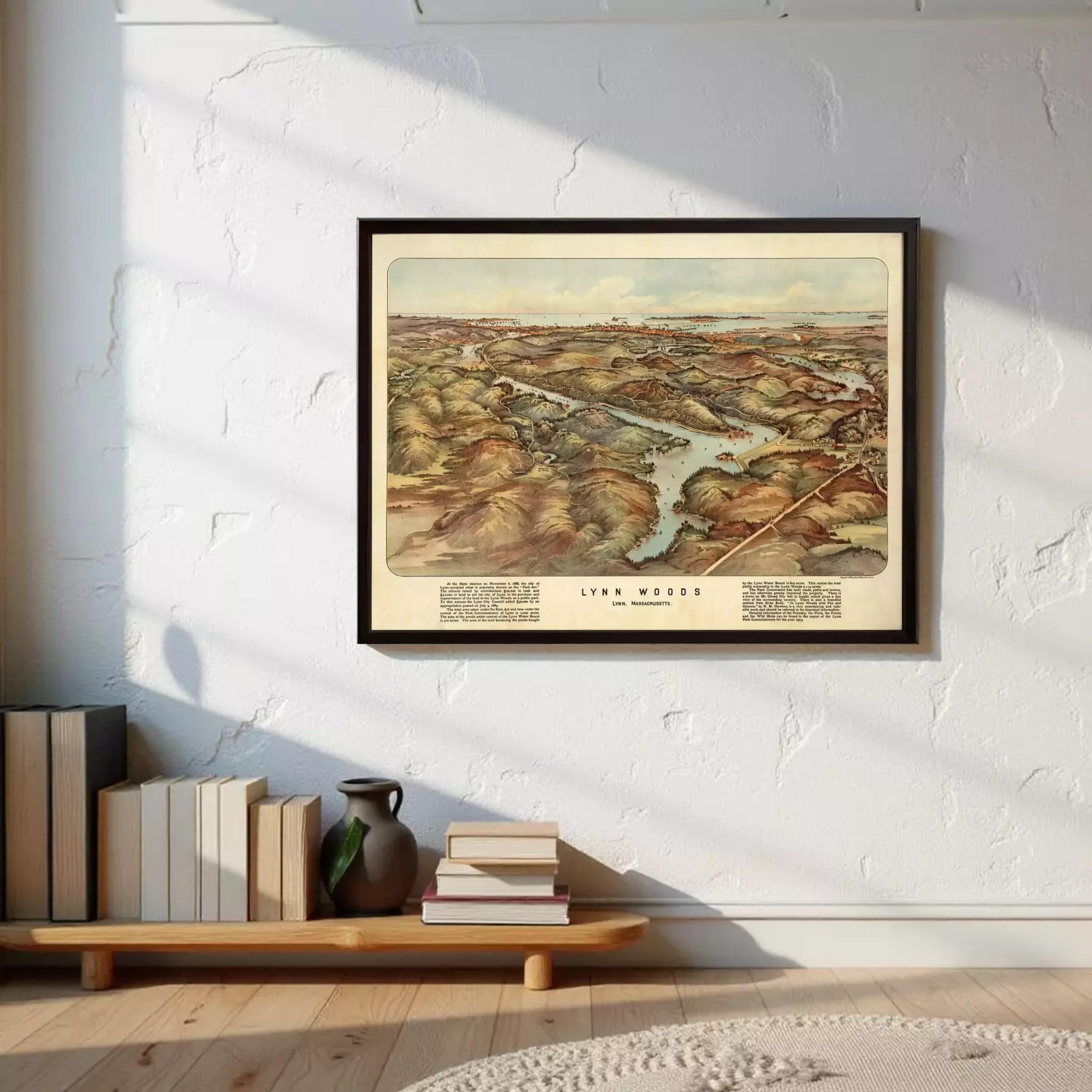 a framed map of the town of Lynn Woods hanging on a wall, with a wooden shelf below it containing several books and a vase.