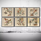 six framed artworks, each depicting a different celestial scene or map. The artworks are arranged in a grid-like pattern on a white wall, showcasing a variety of celestial themes and imagery.