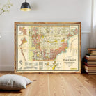 a large framed map of the territory of Chubut, depicting the region in a vintage style.