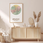 a framed map of Appleton, Wisconsin, hanging on a wall above a wooden cabinet. The cabinet has various items on it, including a vase with pampas grass, a bottle, and a book.