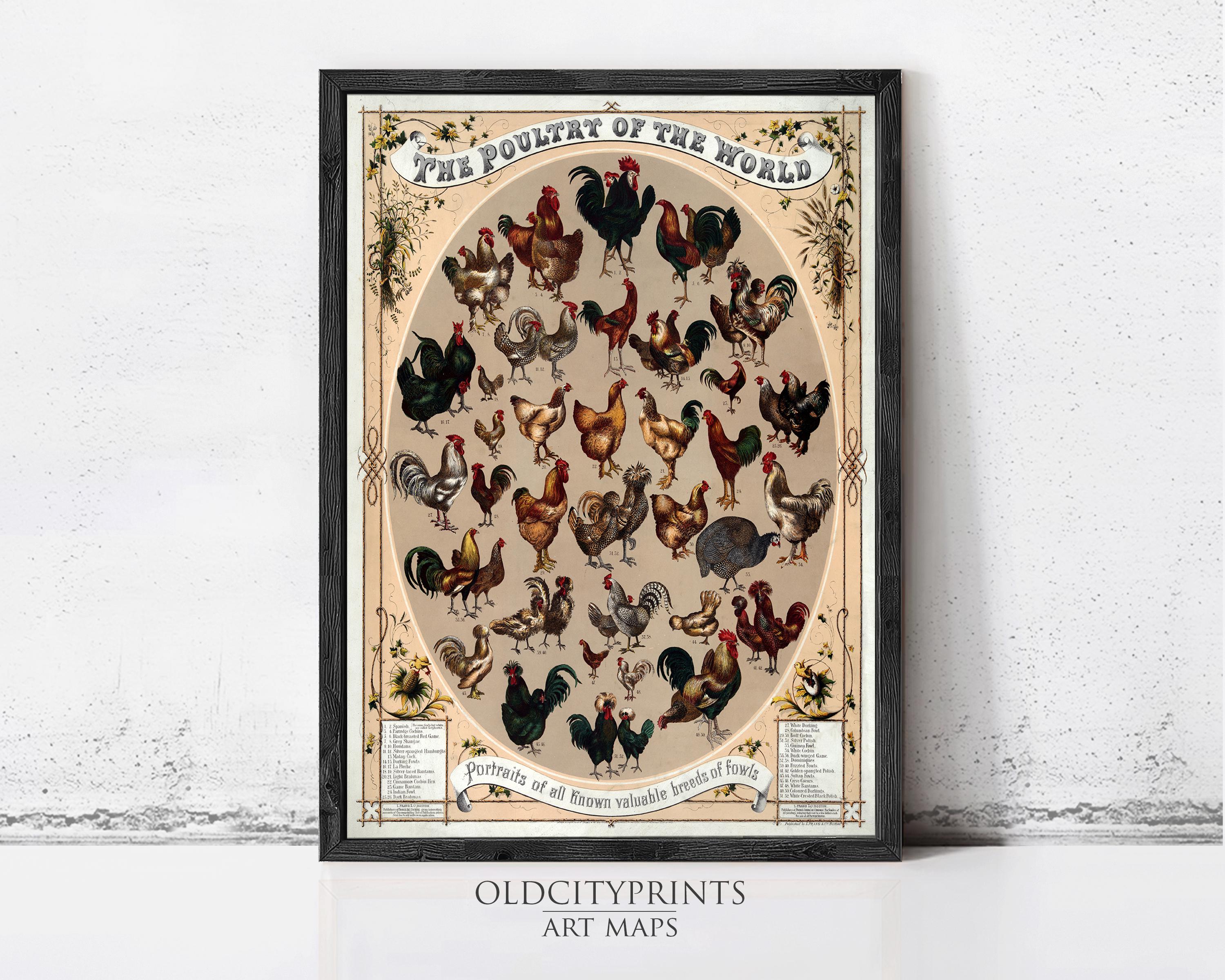 The image is a framed art print titled "The Poultry of the World" that features a collection of various types of chickens and roosters arranged in a circular pattern.