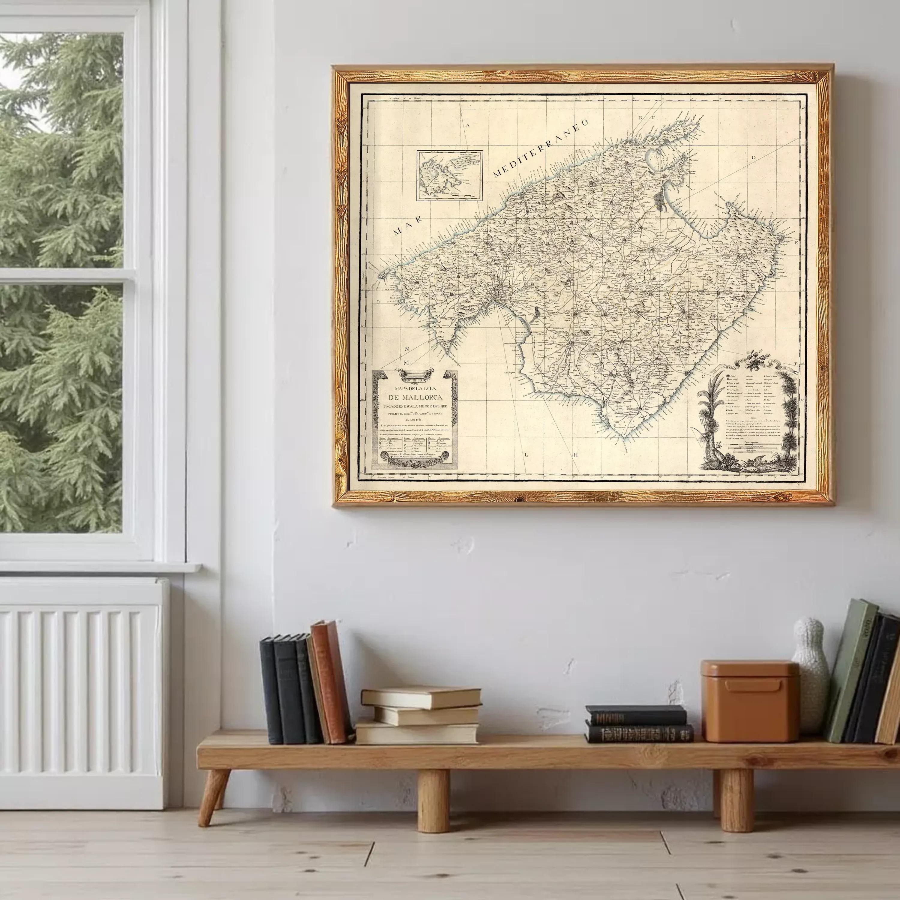 a large framed map of Europe hanging on a wall, with a wooden shelf below it holding several books and a small vase.