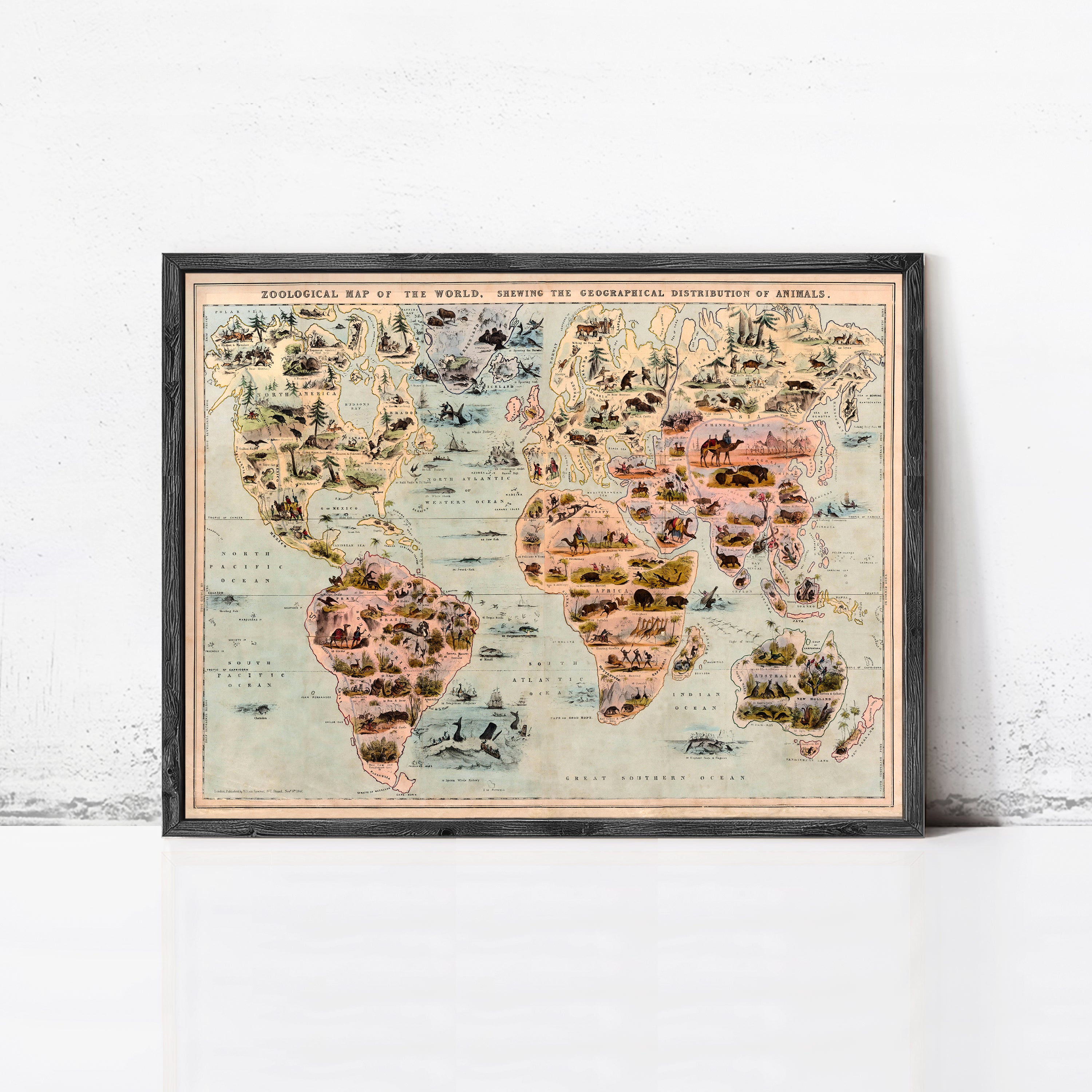 The image is a framed vintage map of the world, depicting the geographical distribution of animals.