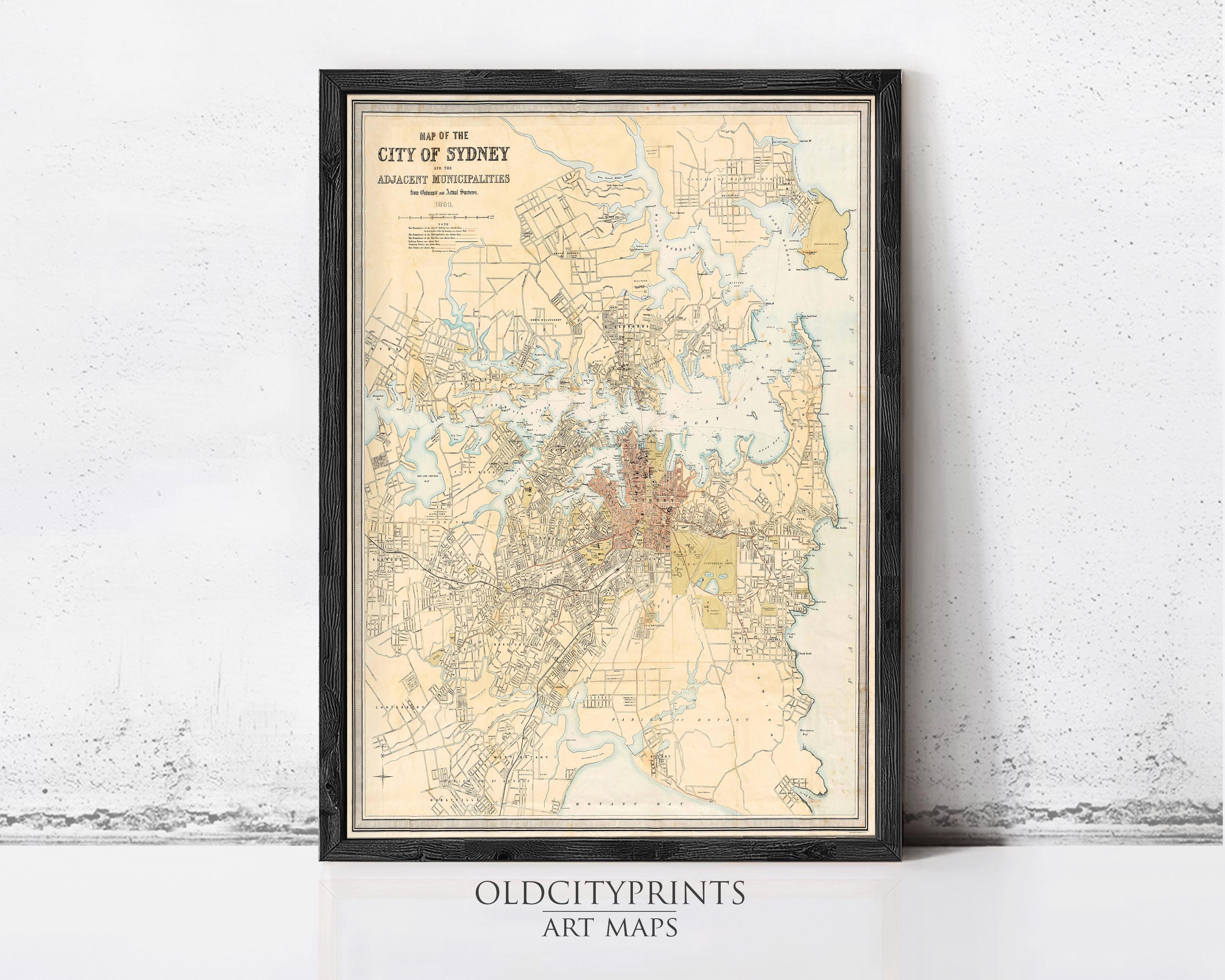 The image is a framed vintage map of the City of Sydney, Australia, depicting the city's layout and surrounding areas.