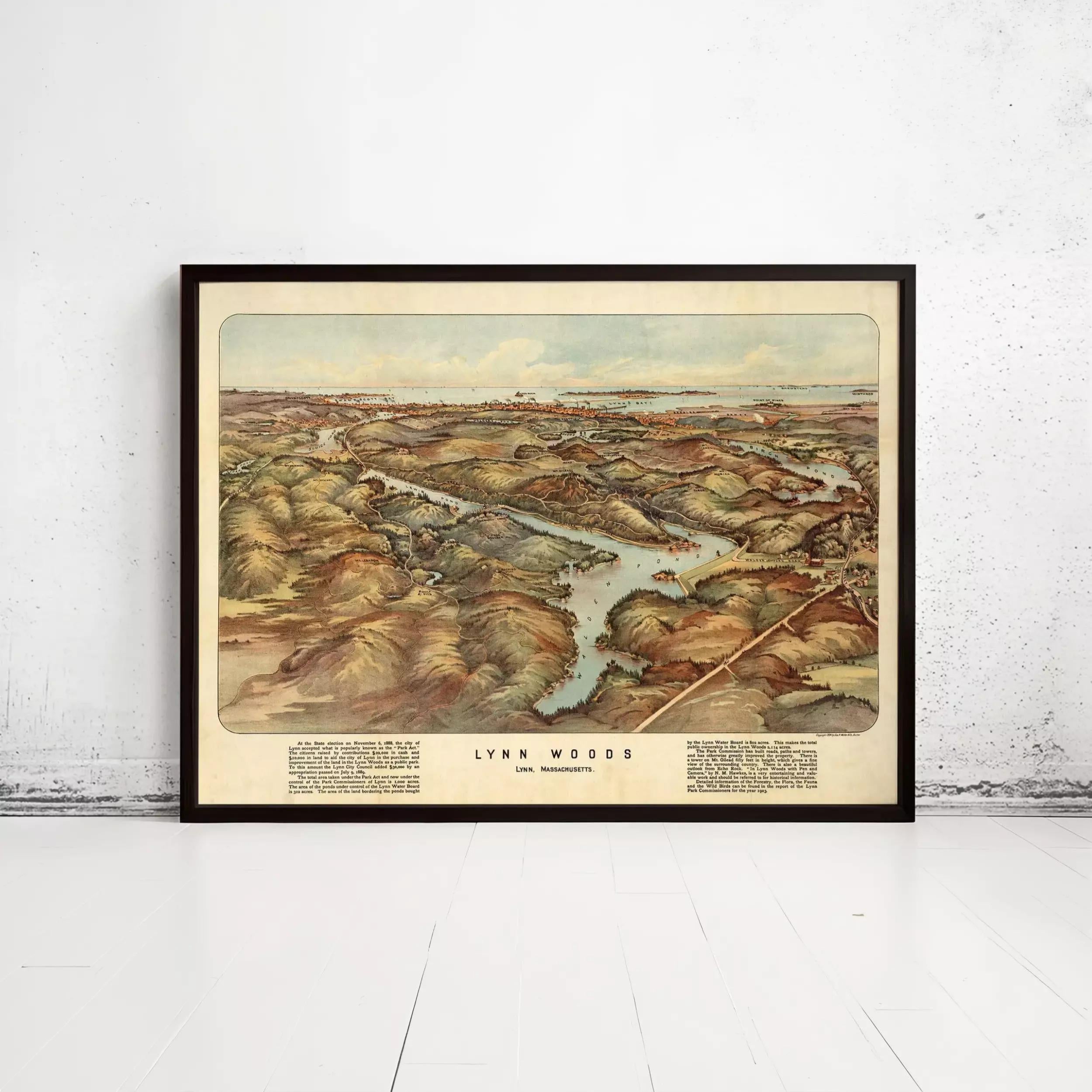 A framed map of Lynn Woods, a historic landmark in Massachusetts.