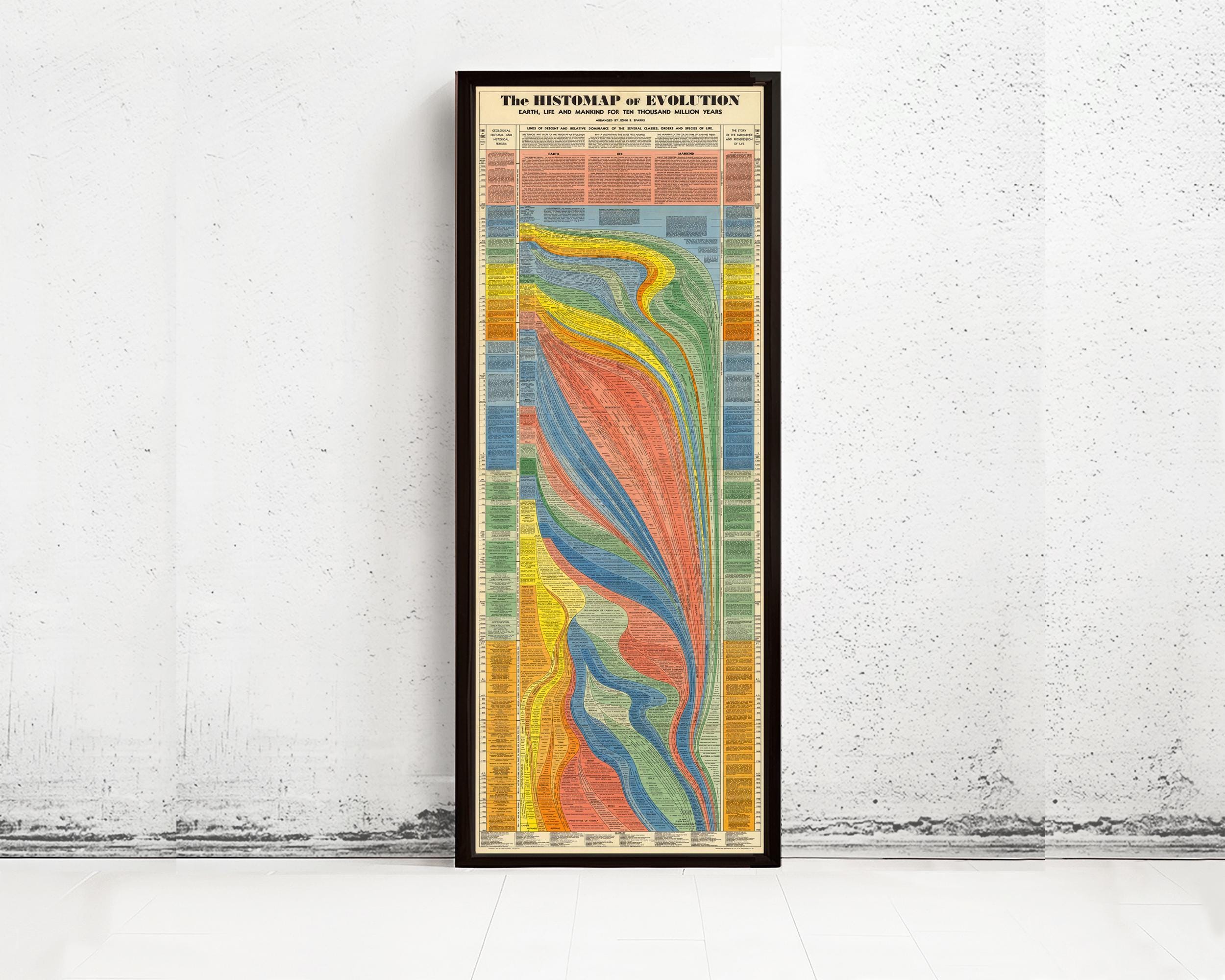 The image is a framed poster or painting titled "The Histogram of Evolution" that displays a colorful, abstract representation of evolutionary patterns.