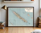 a framed vintage map of the island of Nueville, Caledonia, with a wooden floor and a bookshelf in the background.