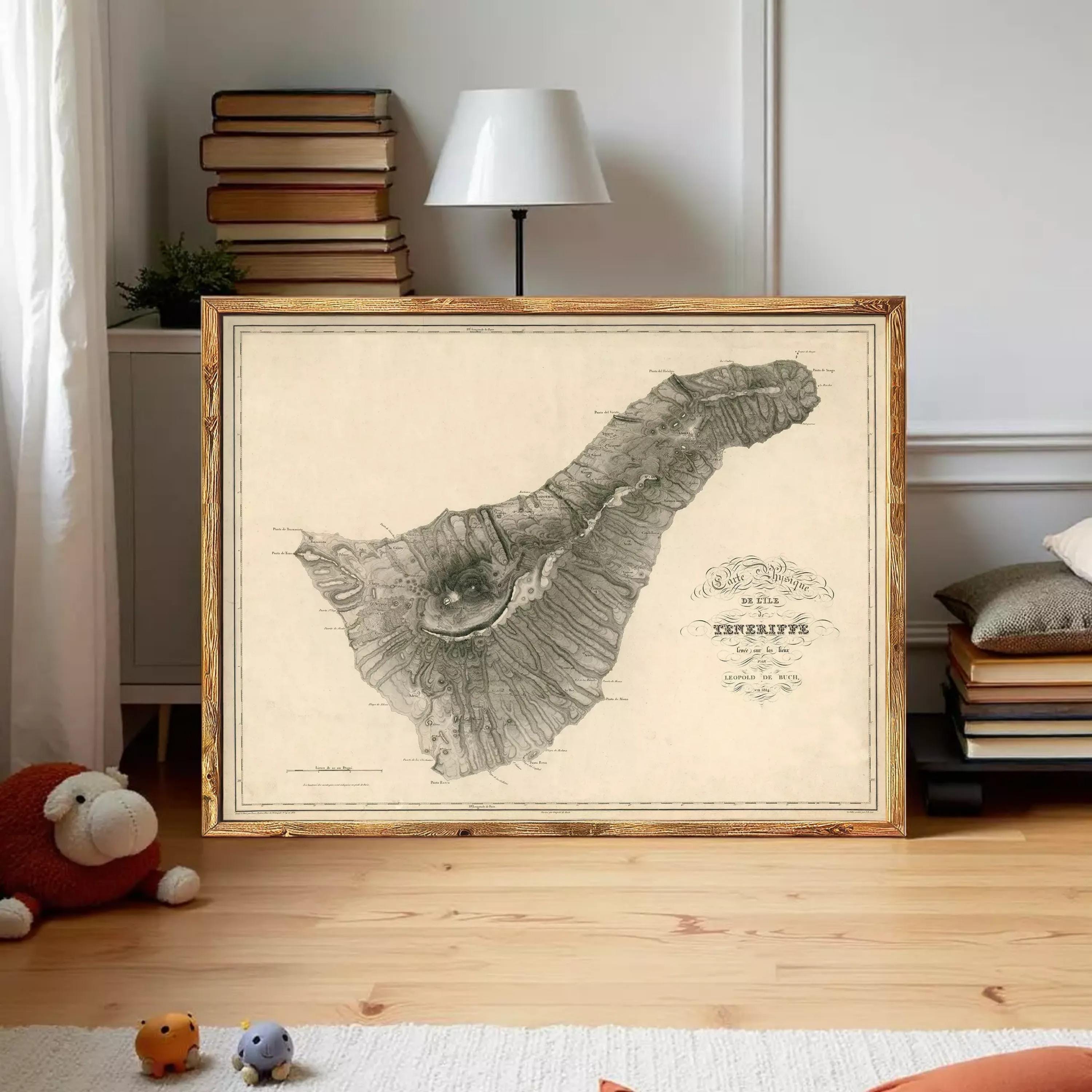 a framed map of the island of Sint Maarten, with a lamp and bookshelf in the background.