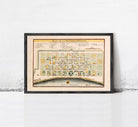 The image is a framed vintage map of the city of New Orleans, Louisiana, with a detailed layout of the city's streets and buildings.