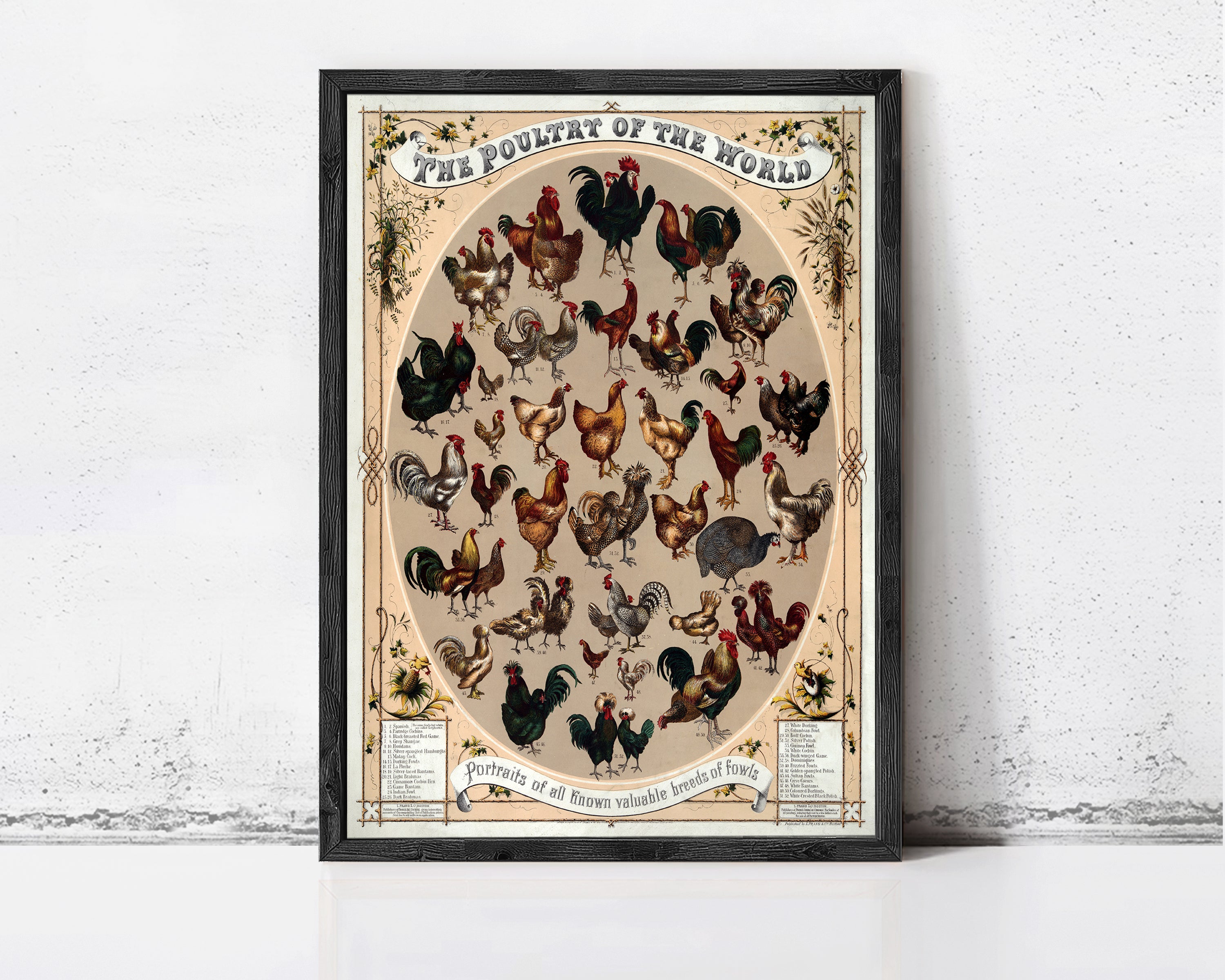 The image is a framed poster depicting various types of chickens, including roosters, hens, and turkeys, arranged in a circular pattern.
