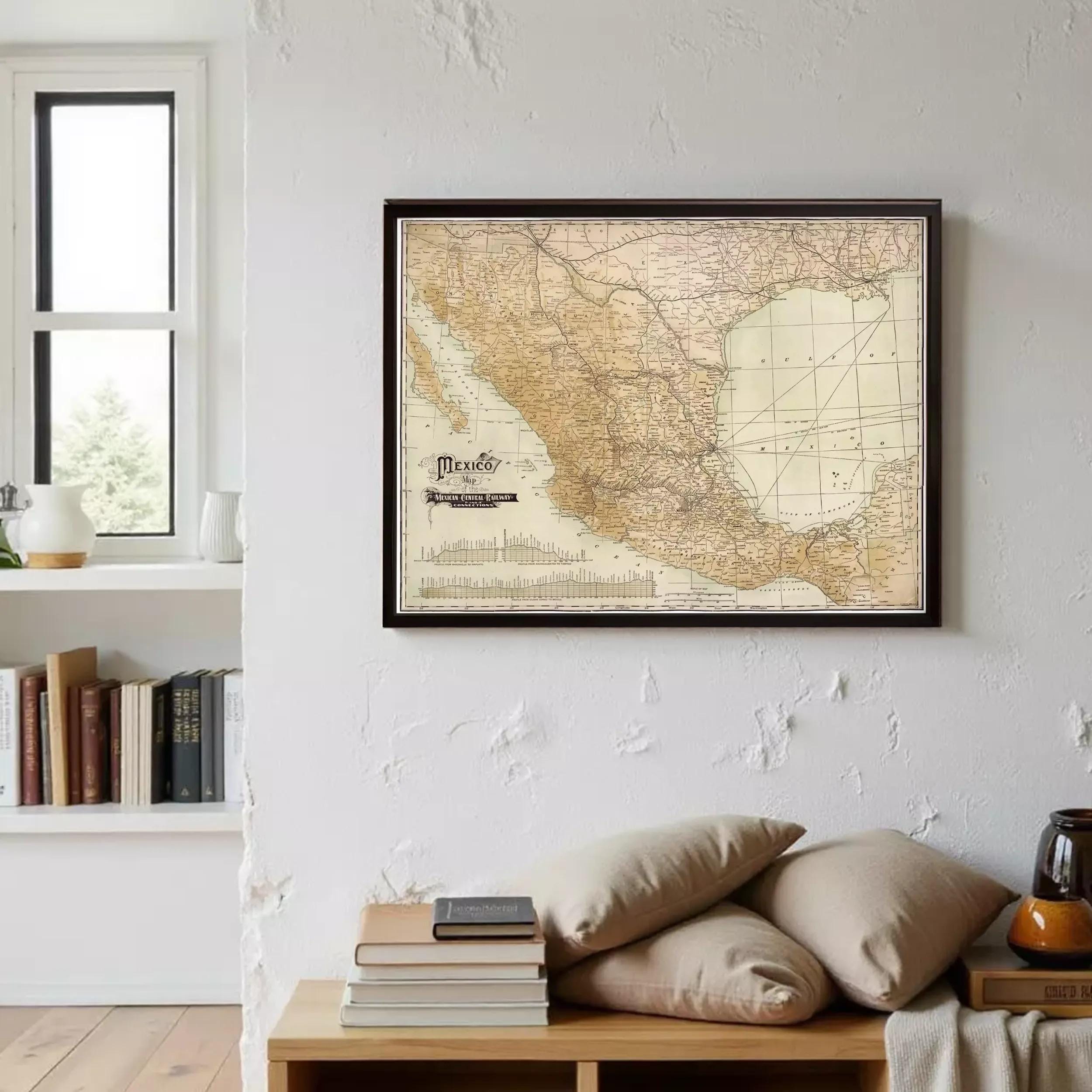 a framed map of Mexico hanging on a wall, with a bookshelf filled with books and various decorative items below it.