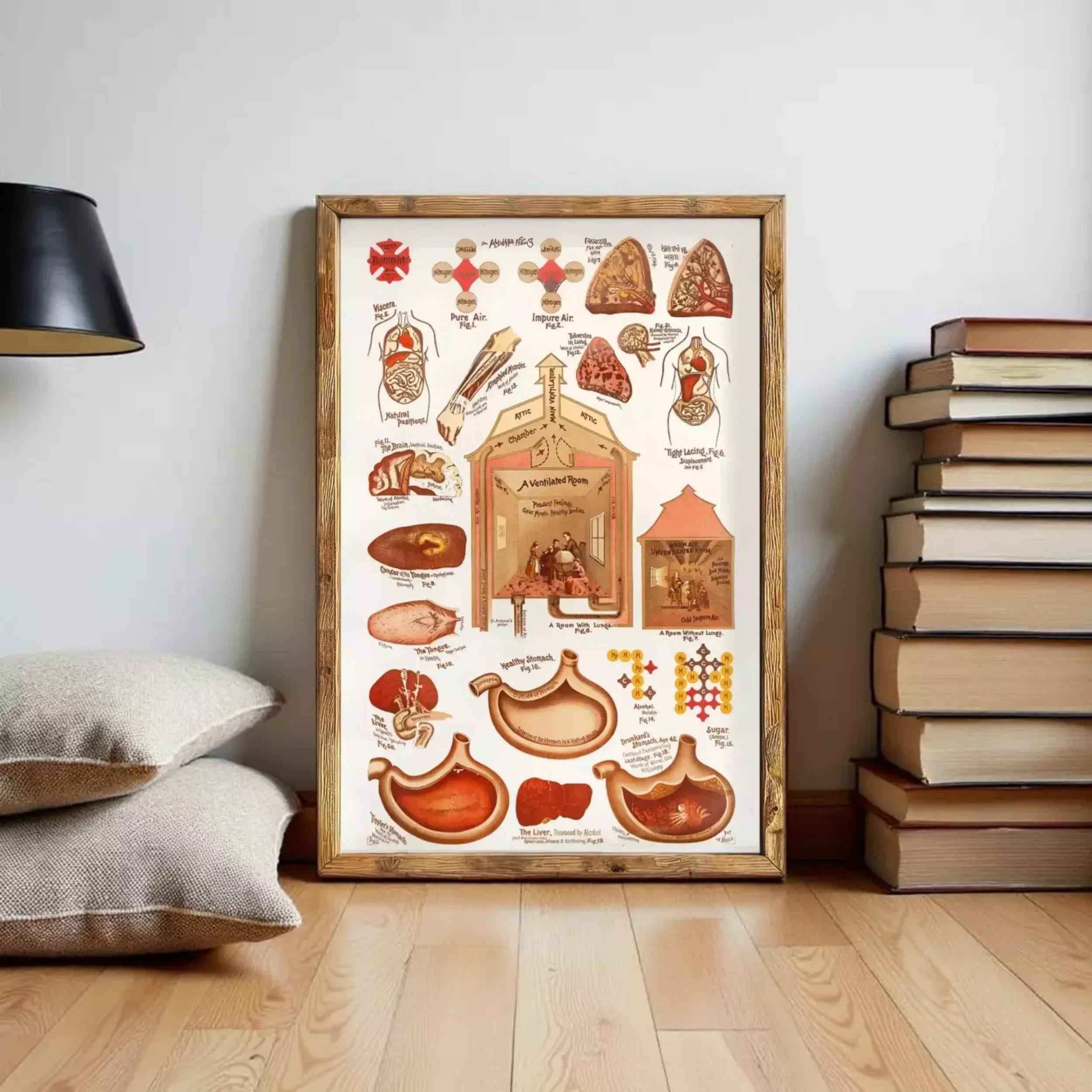 The image is a framed illustration depicting various anatomical structures and parts of the human body, including the heart, lungs, digestive system, and other internal organs.