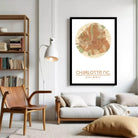 A framed map of Charlotte, North Carolina, with the city's name and location printed on it.