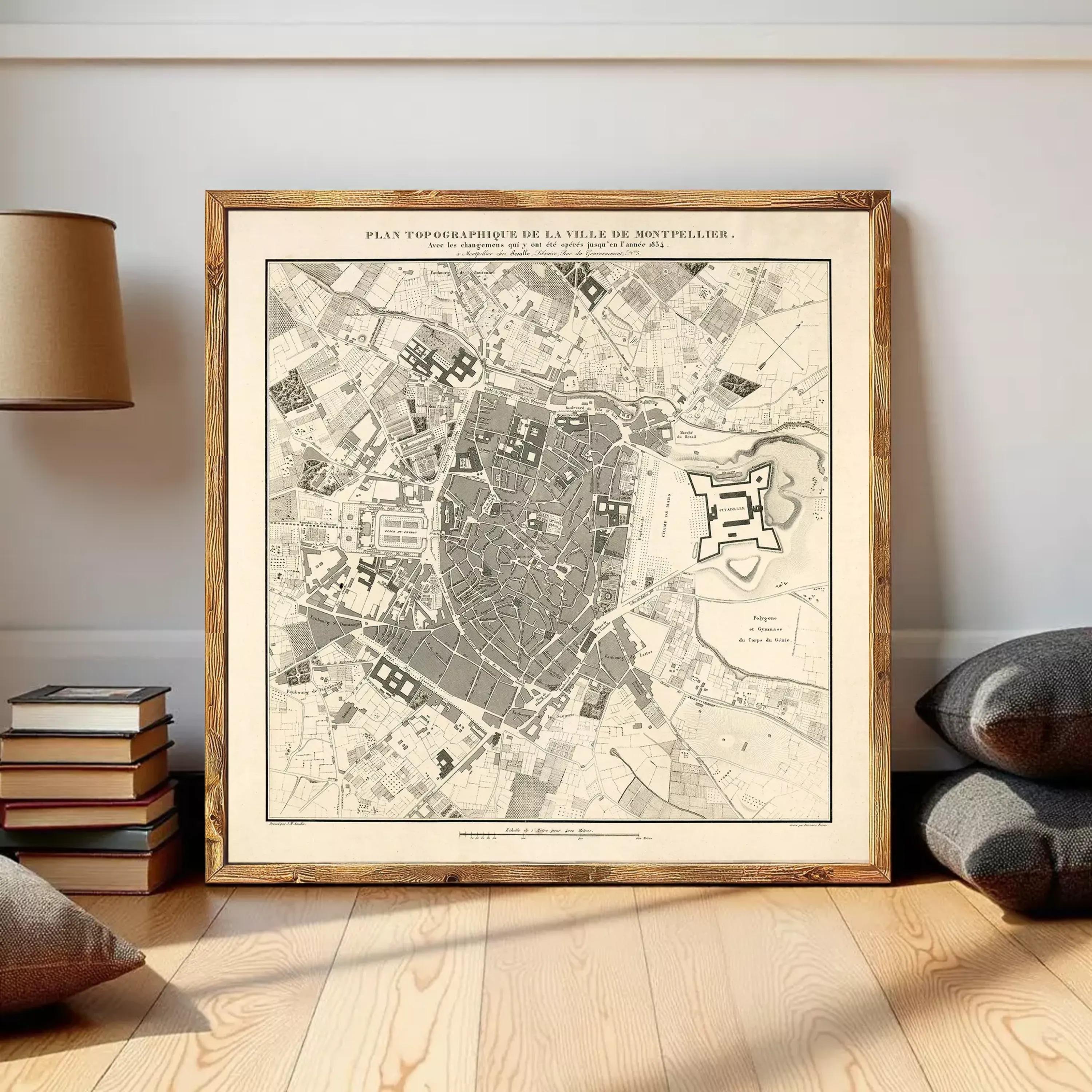 The image is a framed map of a city, depicting various landmarks and streets.