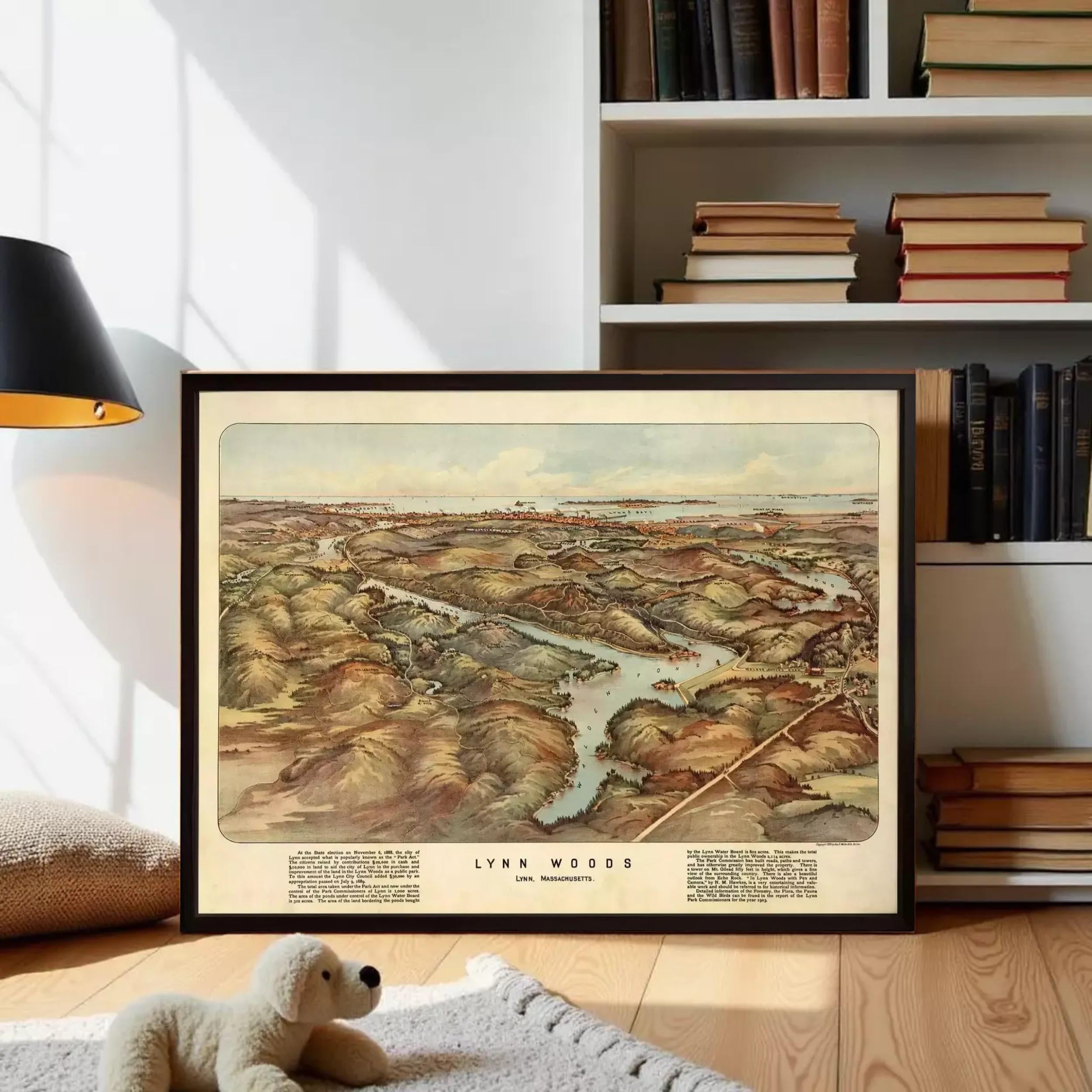 A framed map of Lynn Woods, a historic area in Massachusetts, is displayed on a wooden floor in front of a bookshelf filled with books.