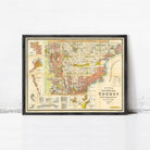 The image is a framed vintage map of Chubut, depicting the territory of the Chubut region in Canada.