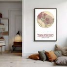 a framed map of Washington, D.C., hanging on a wall in a living room.