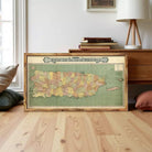 A framed vintage map of the island of Puerto Rico, depicting the country's geographical layout and boundaries.
