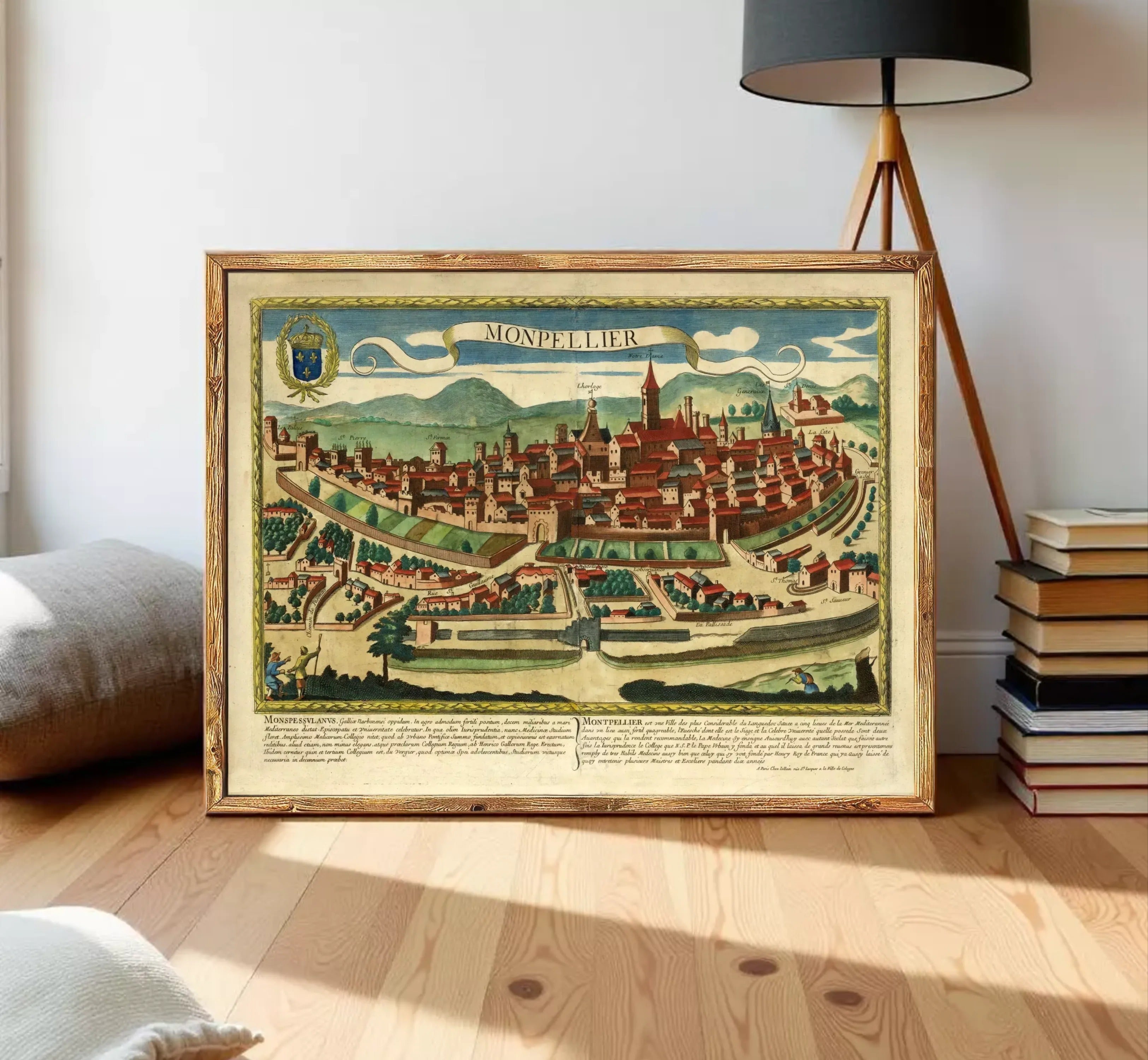 The image is a framed vintage map of a city, depicting a detailed and colorful illustration of the city's layout and surrounding landscape.