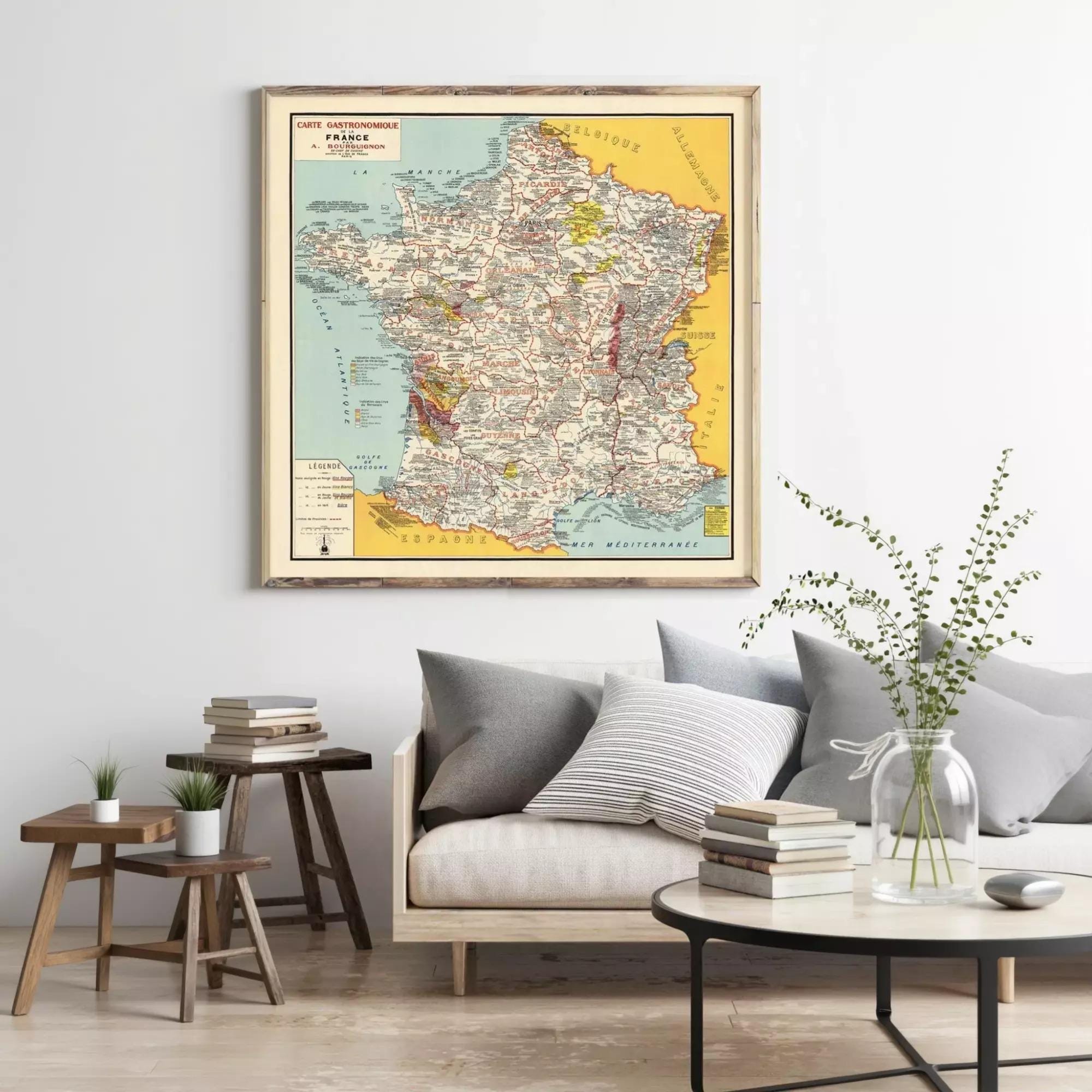 a large framed map of France hanging on a wall above a couch in a living room setting.