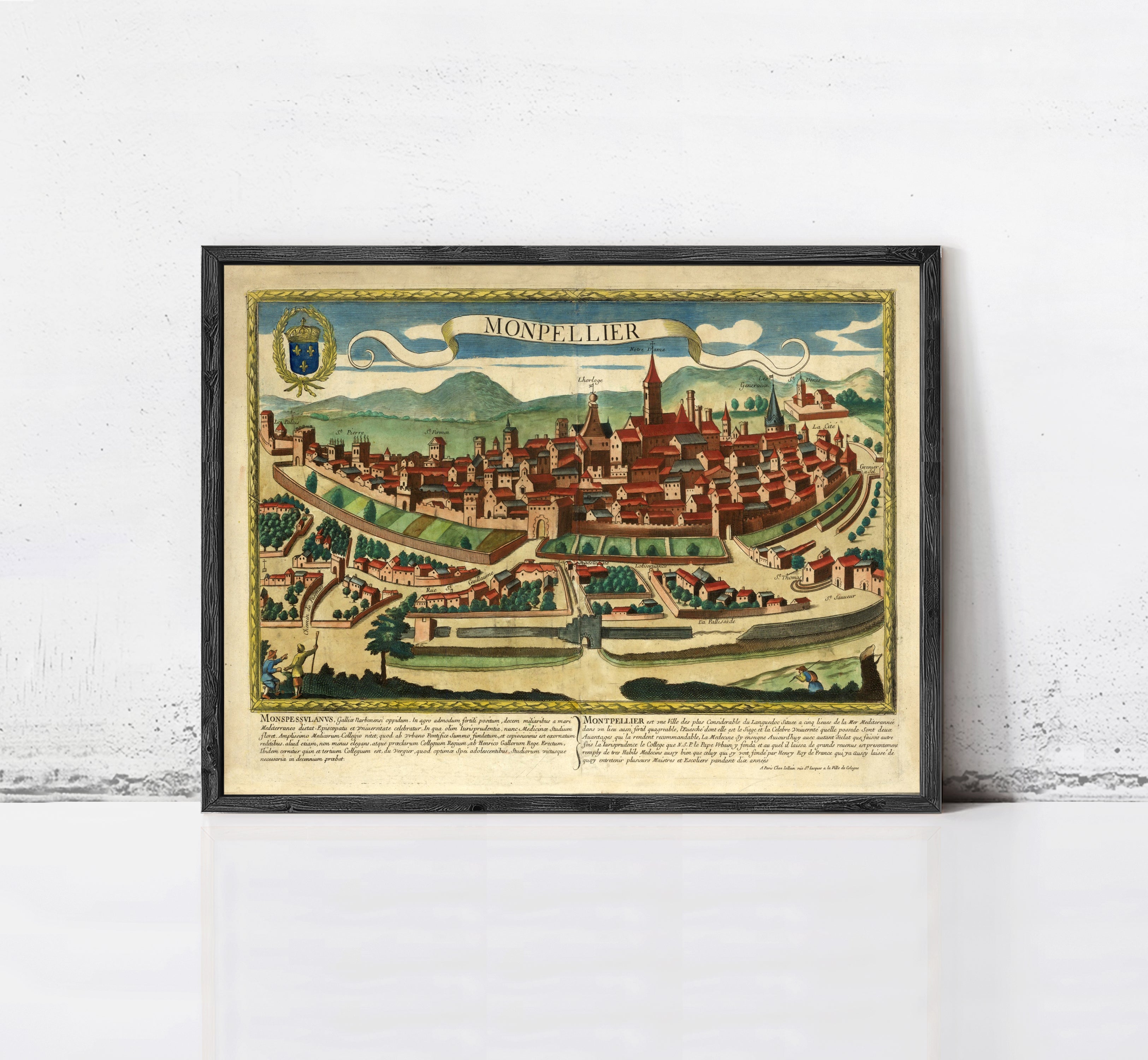 The image is a framed vintage map of the city of Montpellier, France, depicting the city's layout and surrounding landscape.